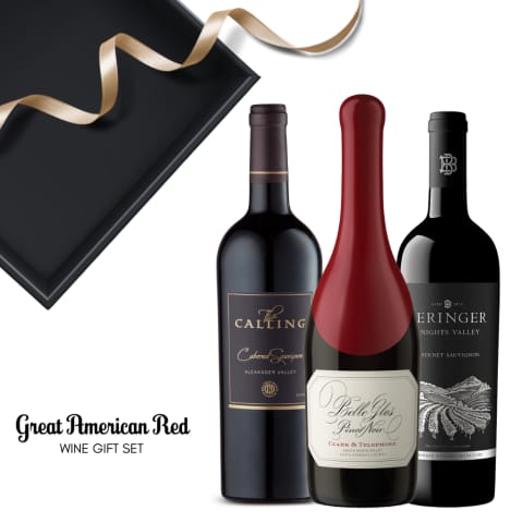 Great American Red Wine Gift Set