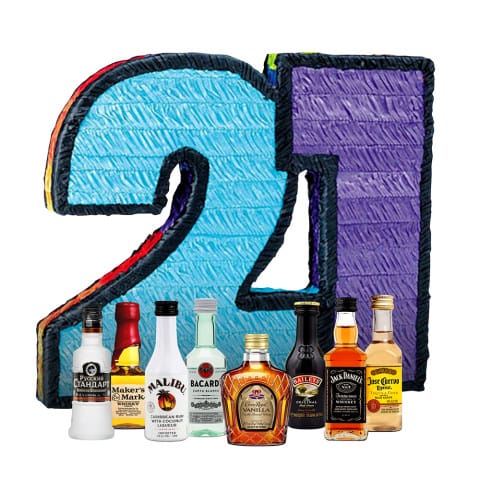 Boozy 21st Birthday Alcohol Pinata