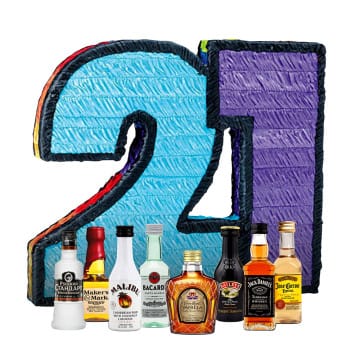 Boozy 21st Birthday Alcohol Pinata