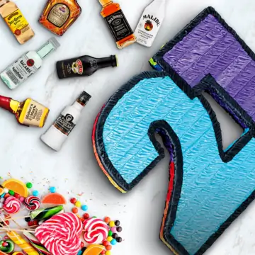 Boozy 21st Birthday Alcohol Pinata