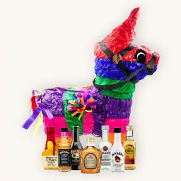 Let's Get Smashed! Alcohol Pinata For Adults