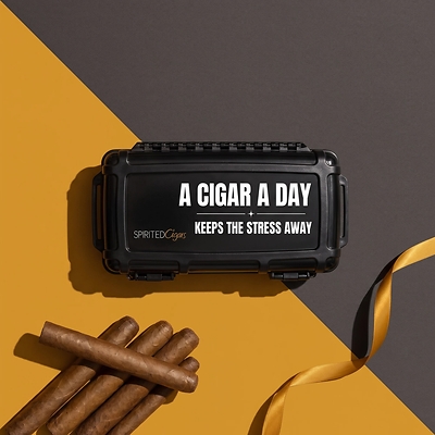 The Garcia Personalized Black Travel Humidor